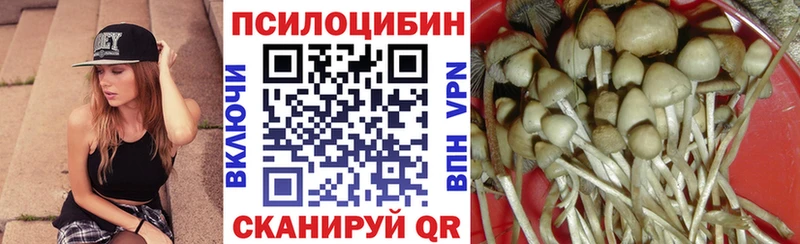 Псилоцибиновые грибы GOLDEN TEACHER  Электроугли 